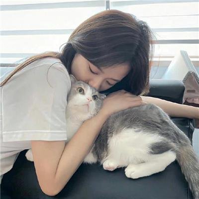 圣诞结