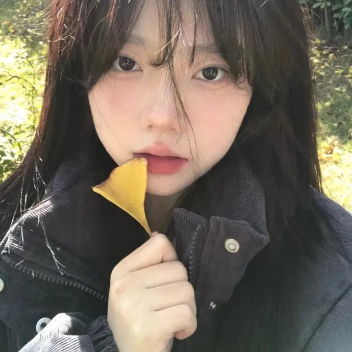 十三个女人